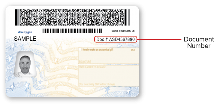 NY DMV Sample Document Number