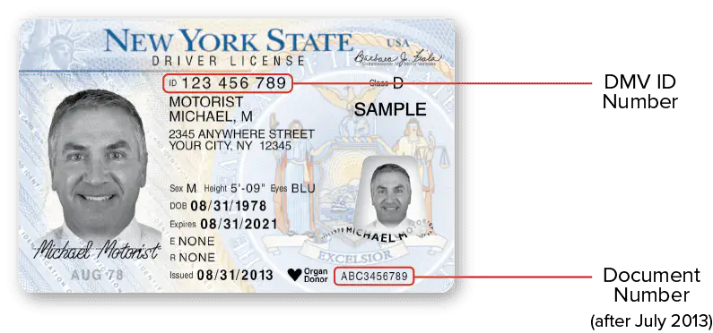 NY DMV Sample Document Number