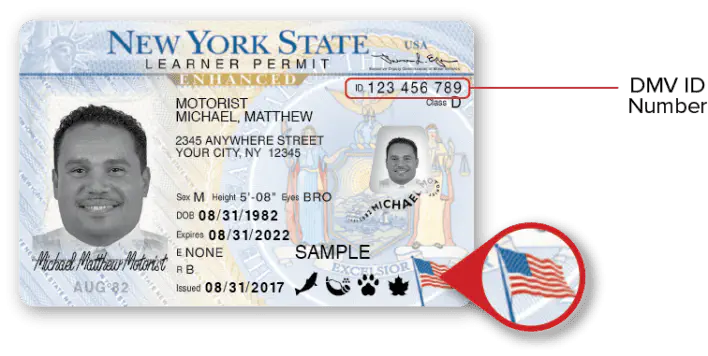 Driver's license ID number sample from NY DMV